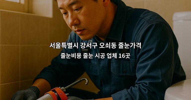 서울특별시 강서구 오쇠동 줄눈가격 줄눈비용 줄눈 시공 업체 16곳